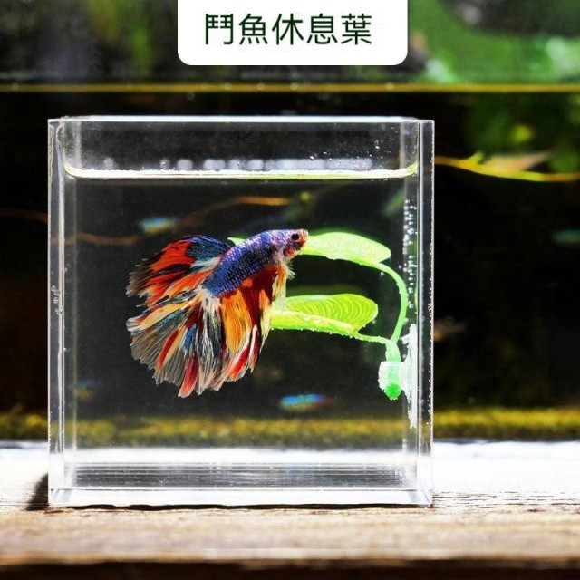 仿真 鬥魚休息產卵葉 刺激吐泡巢