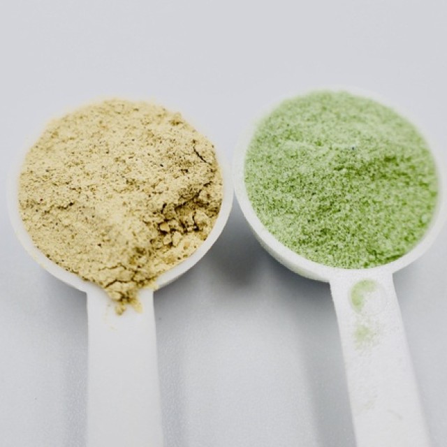 硝化菌粉 去毒活菌酵素  萬用菌粉100g 