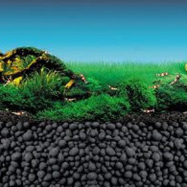 水草/水晶蝦專用黑土 台製/日製