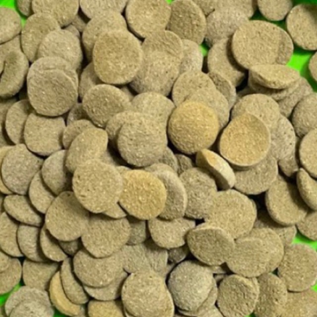 8顆$1  底棲魚專用飼料 單色 