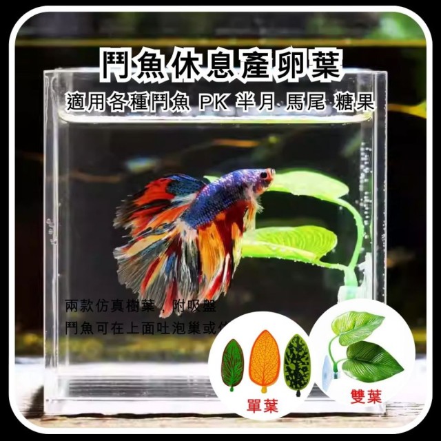 仿真 鬥魚休息產卵葉 刺激吐泡巢