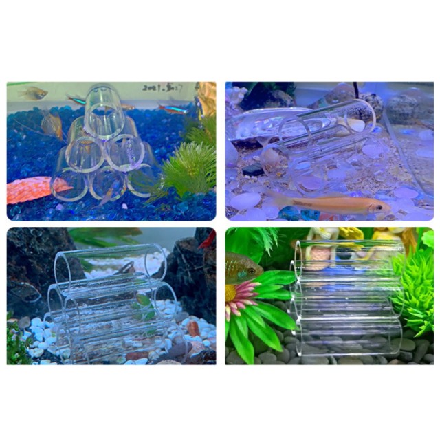 壓克力水晶蝦屋