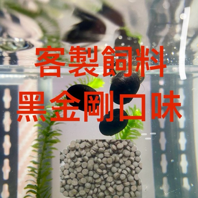 底棲魚飼料