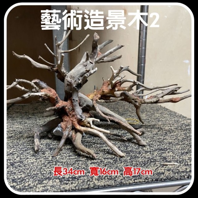 水族造景木❷ 