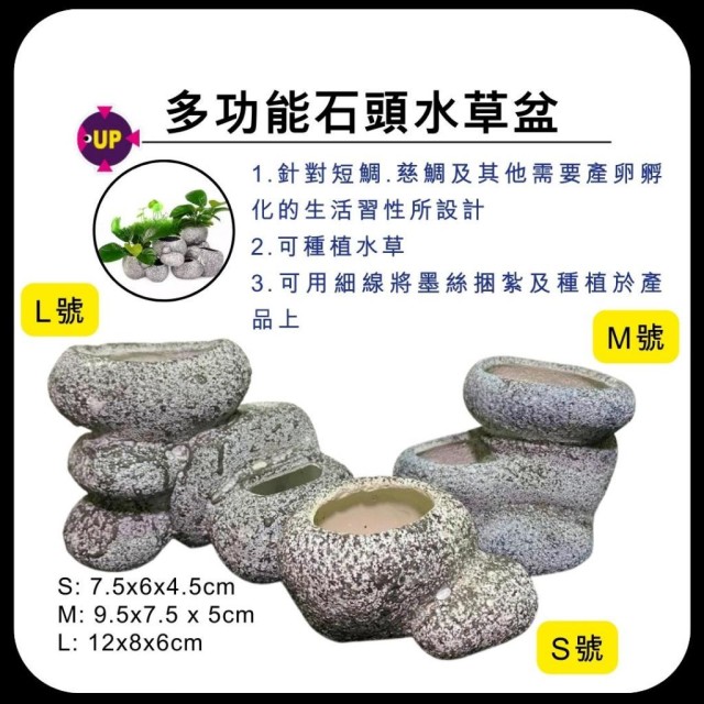 雅柏 多功能石頭水草盆S/M/L