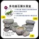 雅柏 多功能石頭水草盆S/M/L
