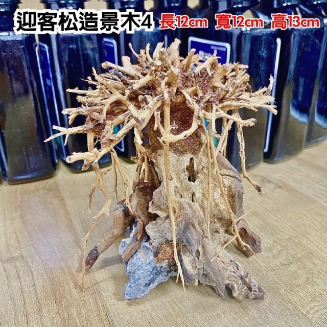 水族造景木 4
