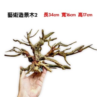 水族造景木❷ 