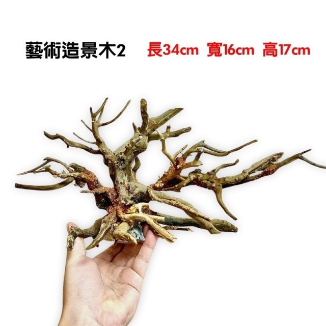 水族造景木❷ 