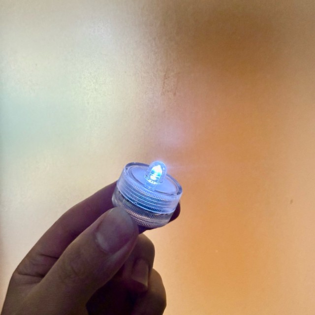 雙格鬥魚積木魚缸17cm 可抽板