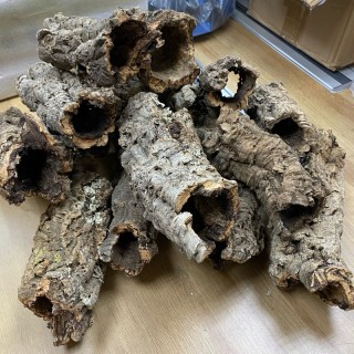 真樹洞 樹棲守宮/爬蟲/蜥蜴專用