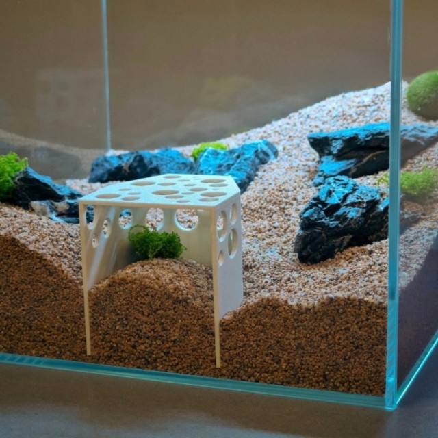 蝦屋 洞洞型魚蝦躲避屋