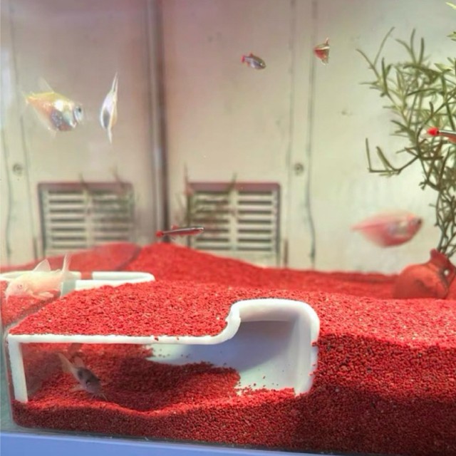 角落地下洞穴躲避屋14cm/10cm