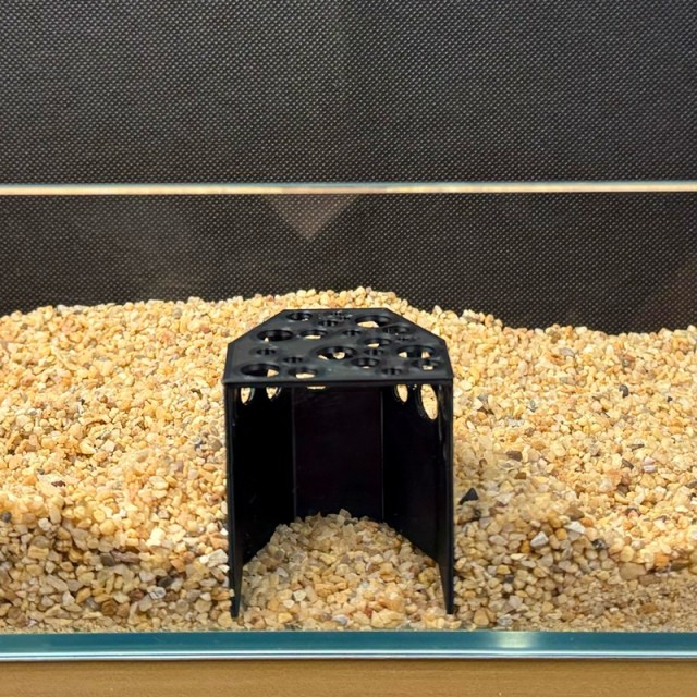 蝦屋 洞洞型魚蝦躲避屋