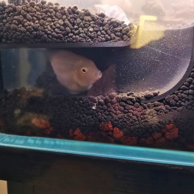 角落地下洞穴躲避屋14cm/10cm