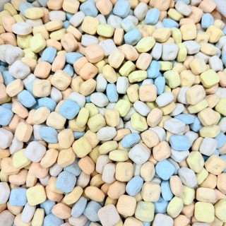 Nepall 3D奈米益菌屋 500g/1kg