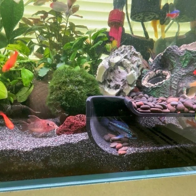 角落地下洞穴躲避屋14cm/10cm