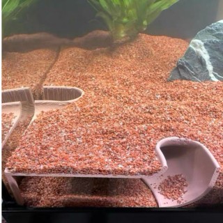 角落地下洞穴躲避屋14cm/10cm