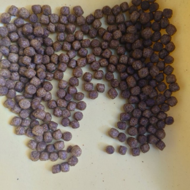  KOIFOOD 雅柏錦鯉飼料 1kg/5kg 